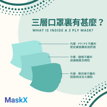 Load image into Gallery viewer, 50 Pieces Adult Surgical Masks
